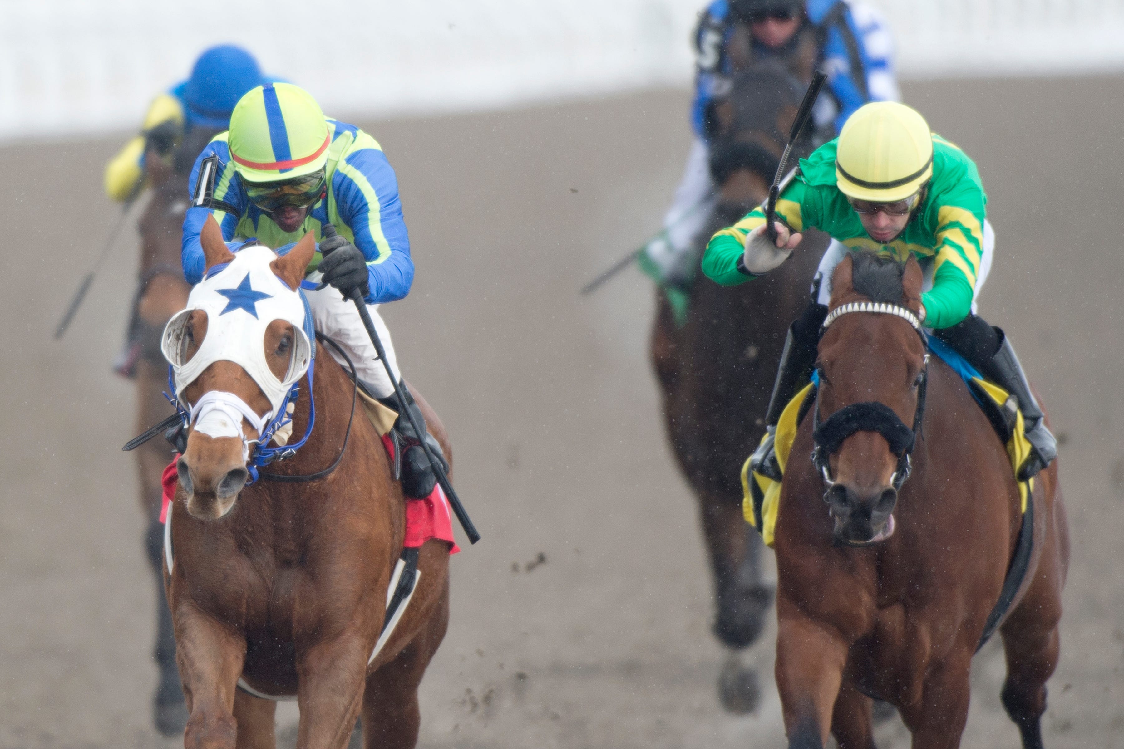 Oldtimer Lapochka back to turf in search of win No. 20